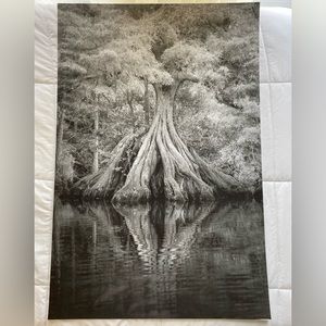 24x36 Wall Art - Black/White + Grey